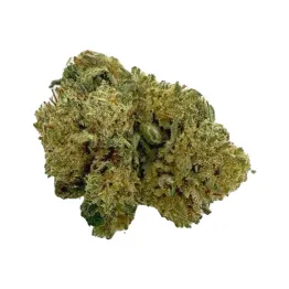 Tropical FRUIT 3G