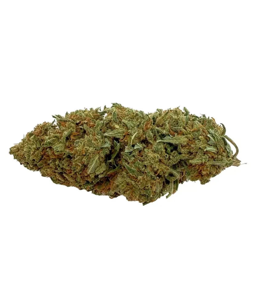 Diesel Tonic 3G