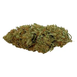 Diesel Tonic 3G