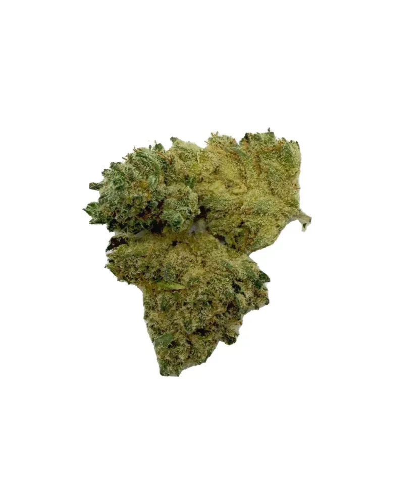 Blue Dream Hydro