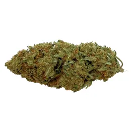 Diesel Tonic