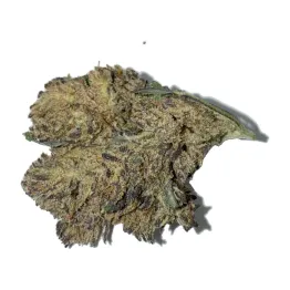 Fruit Purple