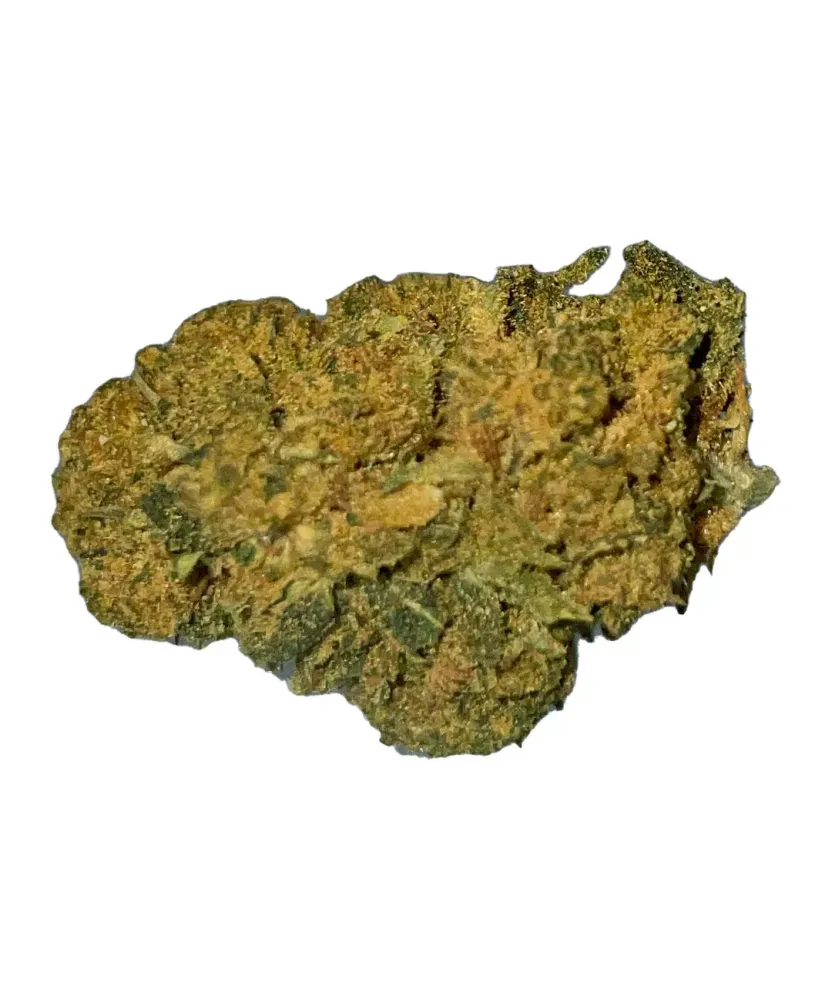 G13