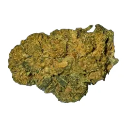 G13