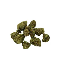 Gelato Premium Glasshouse