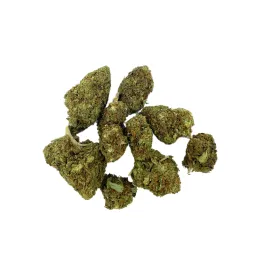 Gelato Premium Glasshouse