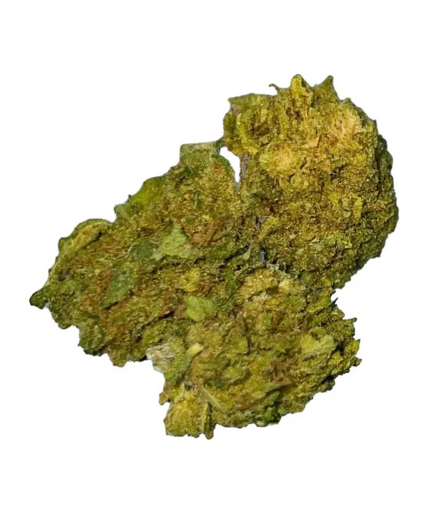 Gorilla Glue