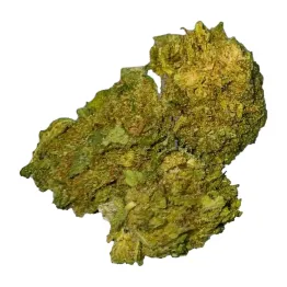 Gorilla Glue