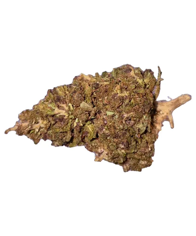 Lemon Purple Lemon Purple