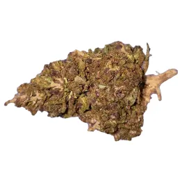 Lemon Purple