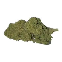 Super Skunk Big