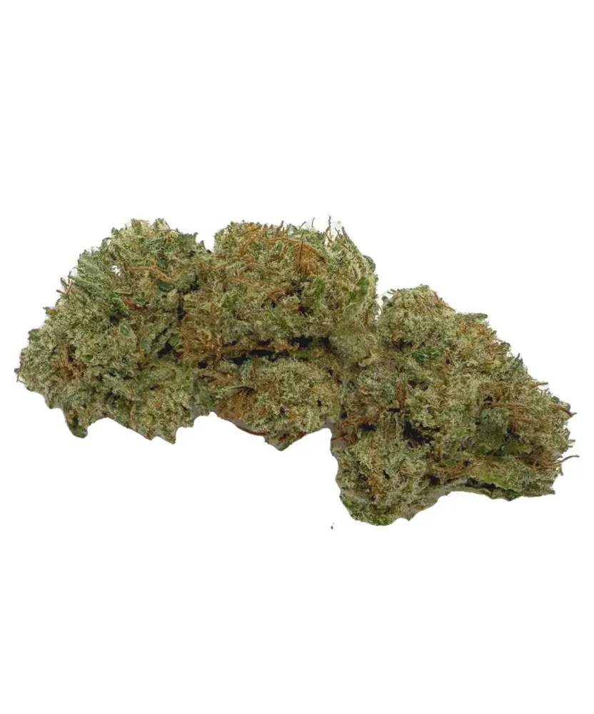 White Melon BIG BUD White Melon BIG BUD