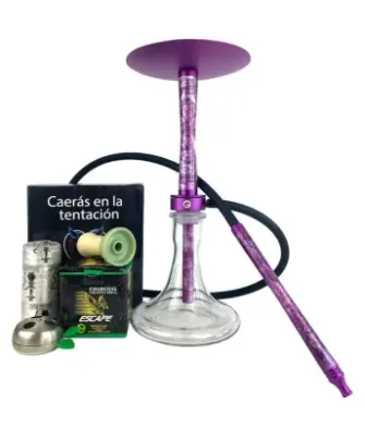 PACK CHAMELEON CRAZY MORADA