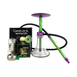 PACK CHAMELEON CRAZY MINI HULK