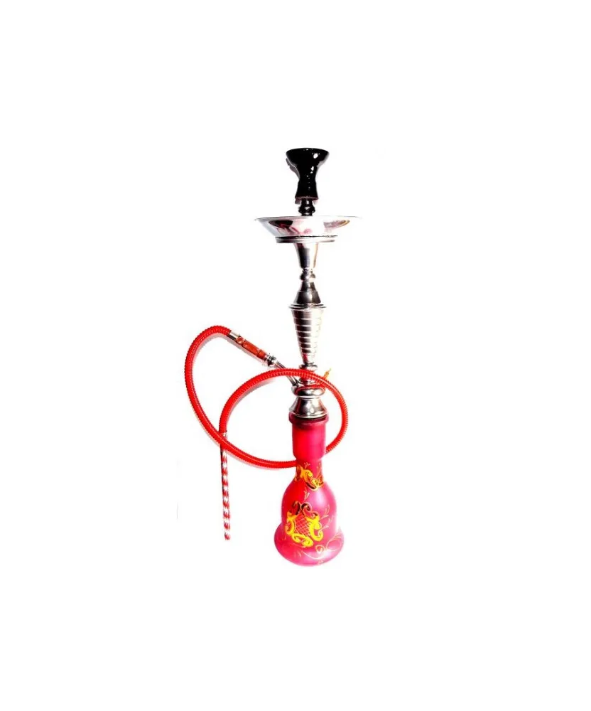 Cachimba Cleopatra 75cm 1Manguera Cachimba Cleopatra 75cm 1Manguera