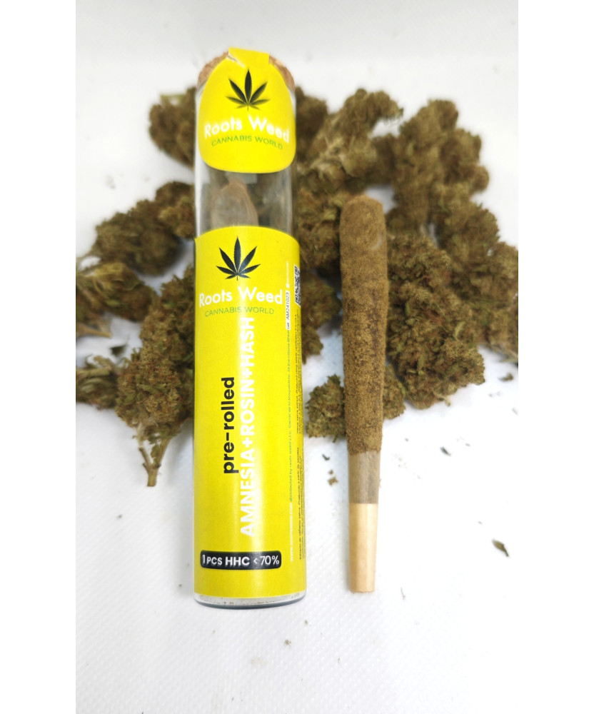 PRE-ROLLED AMNESIA HAZE 10-OH 35 % PRE-ROLLED AMNESIA HAZE 10-OH 35 %